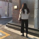 알로하몰