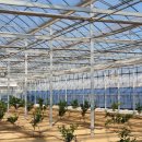 진천군농업기술센터 이미지