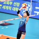 도쿄팡팡 이미지