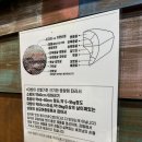 보물섬자연산횟집
