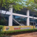 인랩솔루션 | 넥토리얼 3기 채용의 나라, 데이터 분석가 직군 후기