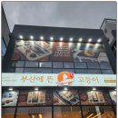 부산에뜬고등어 이미지