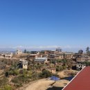 산골염생이 이미지