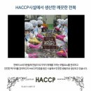전복향기