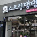 스프링댕댕 이미지