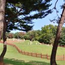 왕릉복권 이미지