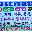 해동농산 네이버블로그