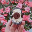 마카롱 제작소 이미지