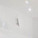 대구도색 이미지