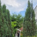 금보여인숙 이미지