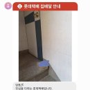 롯데택배는 배송 완료후에 도착문자 주는게 기사 재량이래.. 당황스럽다 이미지