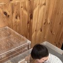 칠곡동물체험카페 이미지