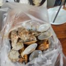 대원칼국수 | 당진 안섬포구 칼국수 대원포장마차 내돈내산 솔직후기