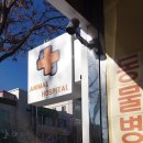 정철동물병원 이미지