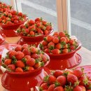 딸기야 | 고령IC 딸기 직판장 7번 안녕딸기야 n번째 구매후기