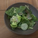 썬앳푸드만리지화광화문D | 광화문 디타워 만리지화 장어덮밥 후기