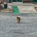이리동북초등학교병설유치원 | ~26/04/30