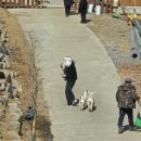 발현목장 이미지