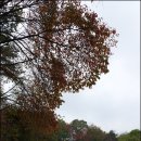 금잔디유치원 이미지