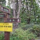 금전산 일원 이미지