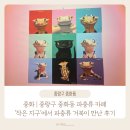 거북이수퍼 | 중화 | 중랑구 파충류 카페 '작은 지구'에서 파충류와 거북이 만난 후기