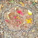 예일유치원 | 가족 숲체험 후기, 두번째 ㅡ 광주 #예일유치원