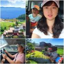 곰섬황토빌리지 | 태안 곰섬황토빌리지펜션 2박3일 여름휴가 후기