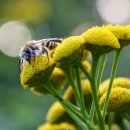 볼륨 노래연습장 이미지