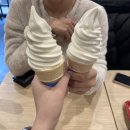 롯데리아영월점 이미지