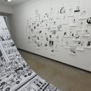 나비랑 바둑이 이미지