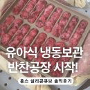 10개월 아기 유아식 닭소세지 만들기｜홍스 파파앤마마 실리콘큐브 트레이 내돈내산 후기