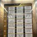 세종사주 보는 곳 / 세종운세 진솔한 경험 : 메디붓다 템플
