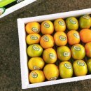 참좋은몰 이미지