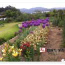 스타농장 이미지