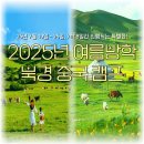 방학명문 | [공지] 2025년 여름방학 북경 캠프, 유니버셜스튜디오 몽골 초원 여행!
