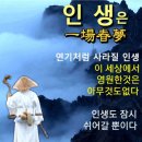 2024.10.16 몰운대,해변공원,해솔길,분수쇼,다대포해수욕장,해운대재래시장 이미지