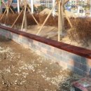 장학초등학교 이미지