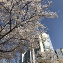 홍문당 글숲