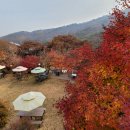 카페 드 포레 이미지