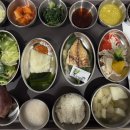 배가한방병원 | 후기 | “수술 후 주의할 점” 보호자 입장에서 본 실제 몸 상태 기록 (청라좋은한방병원 실제 후기 포함)