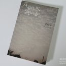 체안미 이미지