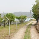 재한농장 이미지