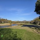 테디밸리CC 이미지