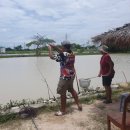 역돔낚시터 이미지