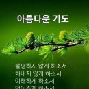 천제연로 이미지