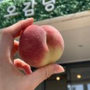 카페오감당 이미지