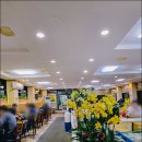 포토이즘컬러드올레