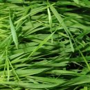 산들농장2 이미지