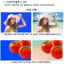 한양대학교 에리카산학협력단