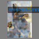 아이유아동청소년발달센터
